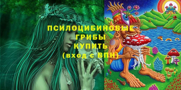 spice Бородино