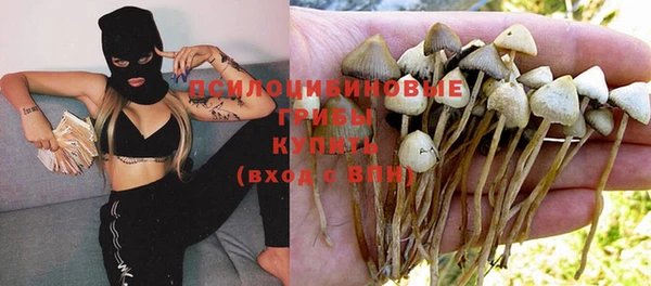 меф Бугульма