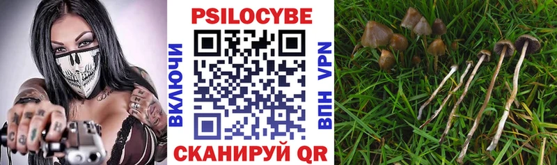Псилоцибиновые грибы MAGIC MUSHROOMS  Короча 